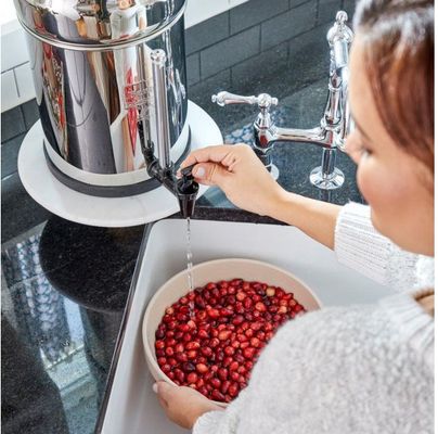 Berkey - New Millennium Concepts Royal - 2 filtrační vložky 2 ks