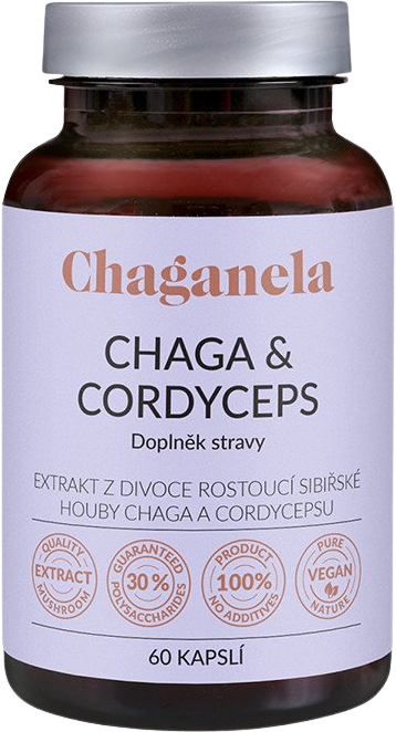 Chaganela Extrakt čagy s cordycepsem 60 kapslí