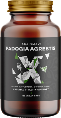 BrainMax Fadogia Agrestis 10:1, 120 kapslí