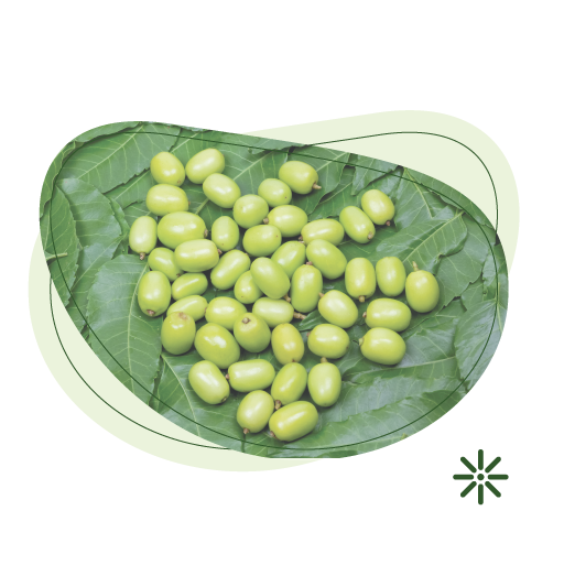 Bio, detox, detoxikační maska, spirulina, chlorella, purity vision, Neem