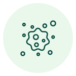 ikona