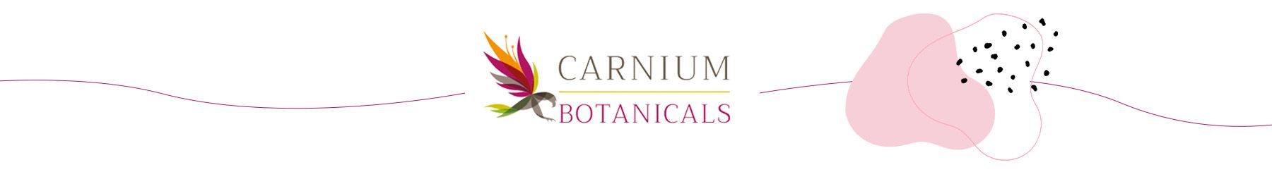 močové cesty, močový měchýř, přirozená rovnováha, Carnium Botanicals