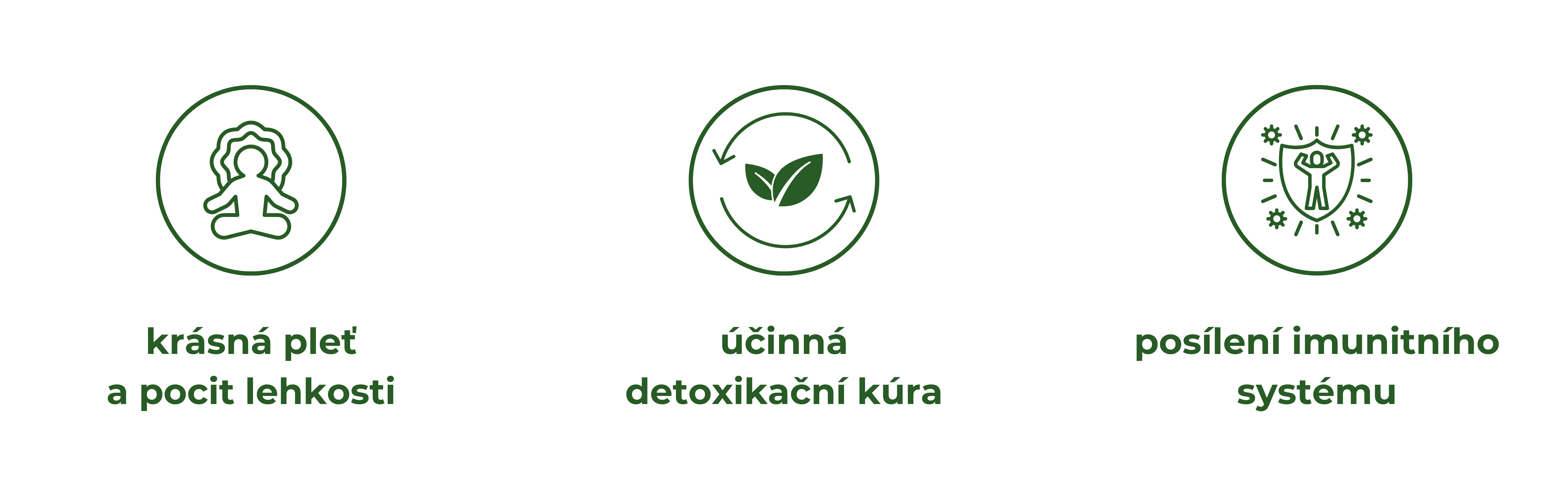 Odvodnění, podpora funkcí jater, ledviny, zdraví gastrointestinálního traktu