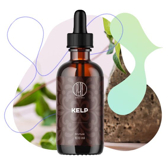 Kelp, normální funkce střevního traktu, tělesná hmotnost, štítná žláza