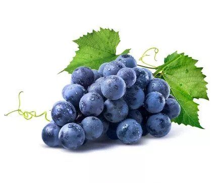 Resveratrol
