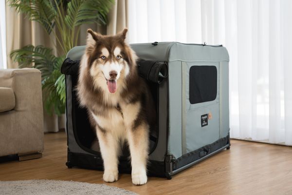 FIKAGO Skládací kennel přepravka Queen L Grey