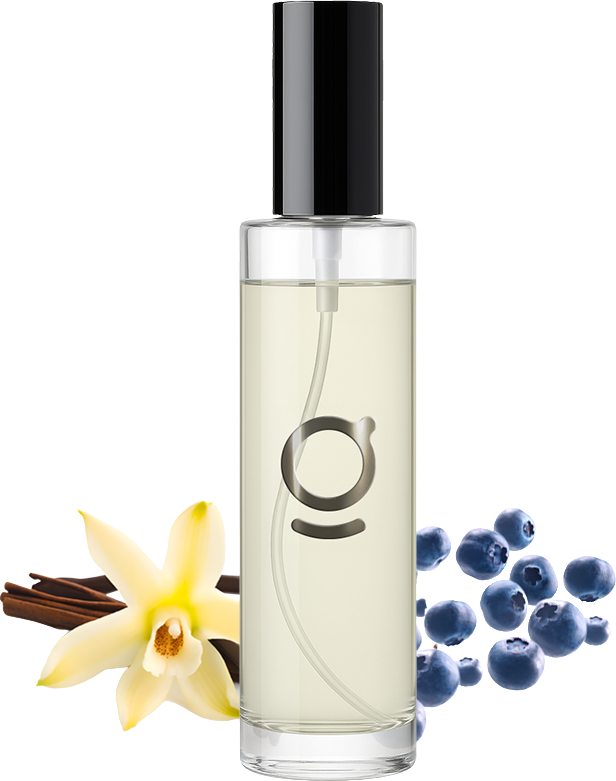 Goda osvěžovač Gubi borůvka & vanilka 100 ml