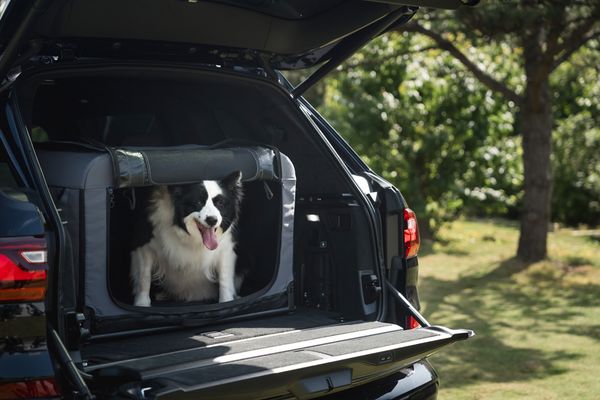 FIKAGO Skládací kennel přepravka Queen M Green
