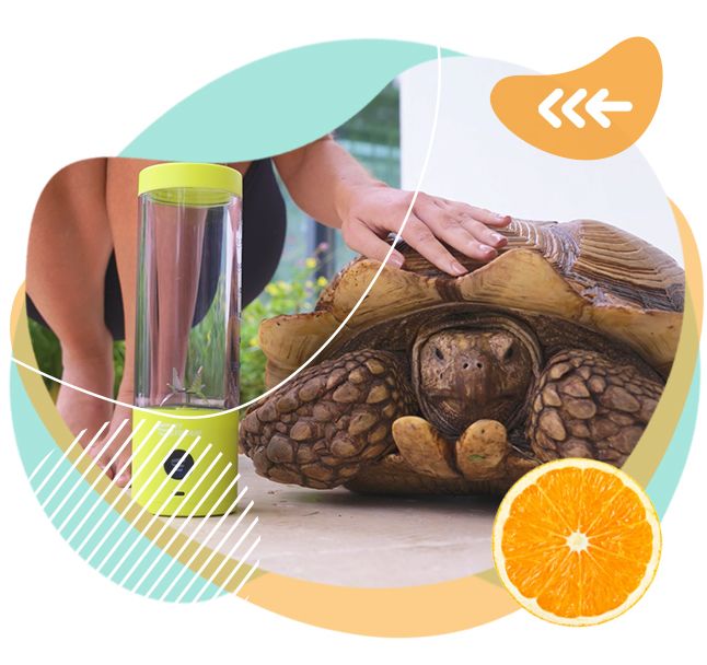 prenosný mixér, smoothie, zdravie, ovocie