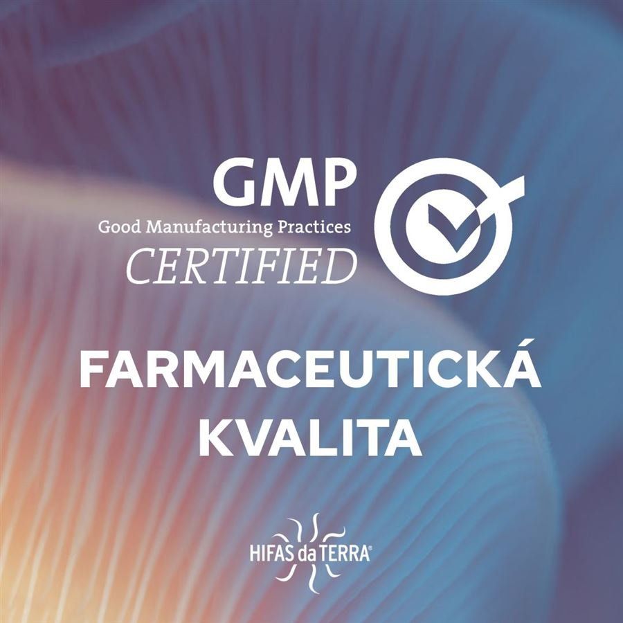 Hifas da Terra Dr. Gut and Brain for Children 250 ml (Reishi a Hericium pro děti) 250 ml