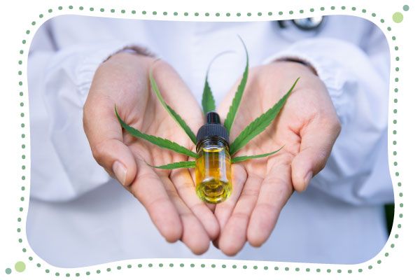 cbd rakovina