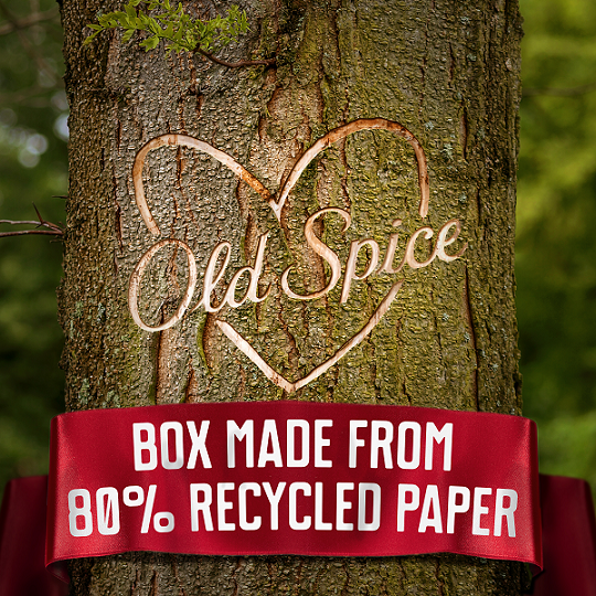 Old Spice Gamer dárková sada s deodorantem ve spreji 50 ml a sprchovým gelem Wolfthorn 250 ml