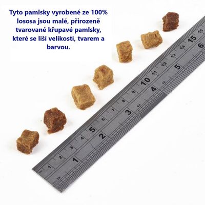 Fish4Dogs Pamlsky pro psy tréninkové losos 80 g