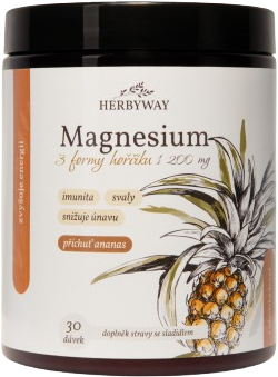 Herbyway Magnesium 3 formy hořčíku 1 200 mg, příchuť ananas