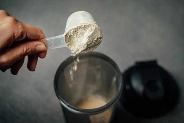 Powerlogy Organic Vegan Protein Cinnamon and Vanilla 500 g