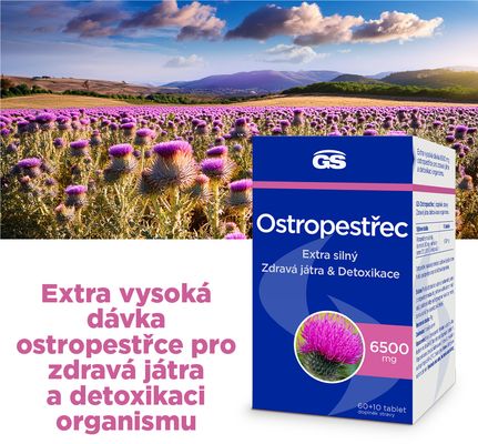 GS Ostropestřec 6500 mg, 60 + 10 tablet