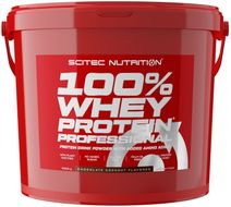 SciTec Nutrition 100% Whey Protein Professional čokoláda/kokos 5000 g
