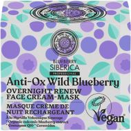 Anti-OX Wild Blueberry Noční obnovující pleťová krémová maska 50 ml