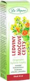 Dr.Popov Ledviny-močové cesty Bylinné kapky 50 ml