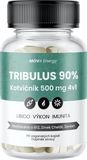 MOVit Energy TRIBULUS 90% Kotvičník 500 mg 4v1 60 kapslí