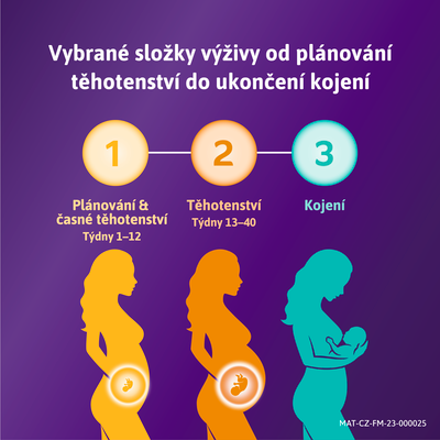 Femibion 1 Plánování a první týdny těhotenství 56 tablet