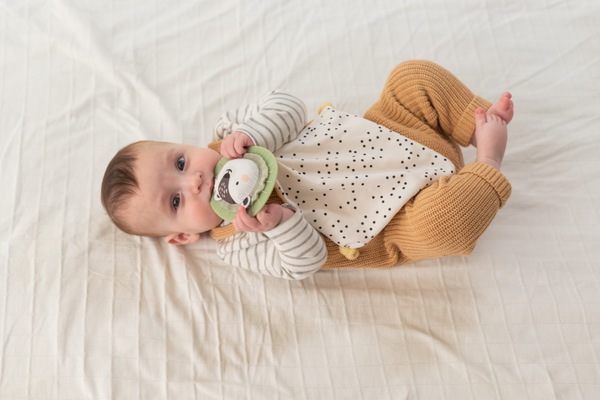 Taf Toys Sada hraček Hello Baby