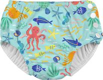 Huggies® HUGGIES® Little Swimmers Nappy 5/6