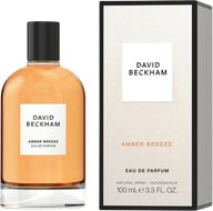 David Beckham Amber Breeze parfémová voda pro muže 100 ml