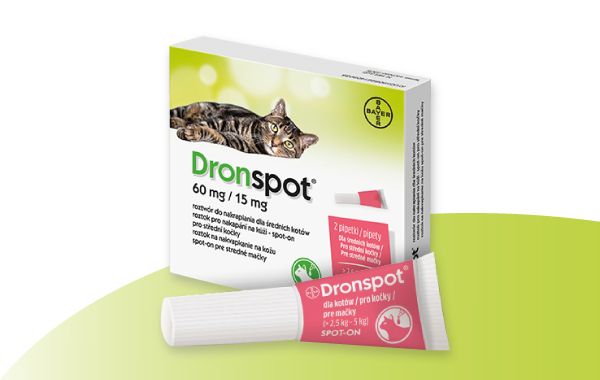 Dronspot pro střední kočky