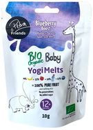 Petra & Friends BIO Ovocné smoothie kousky sušené mrazem s borůvkami a kozím mlékem 10 g