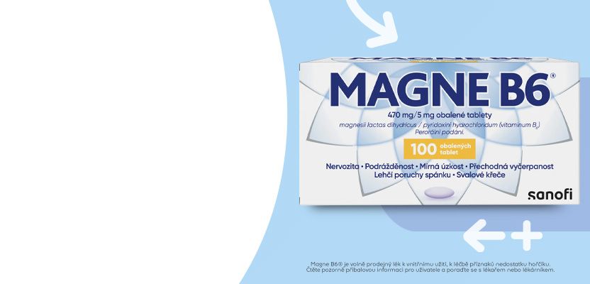 Magne B6®