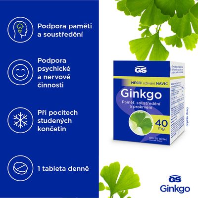 GS Ginkgo 40mg 90 + 30 tablet