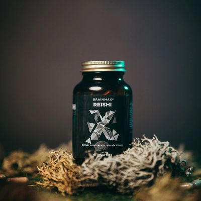 BrainMax Reishi 100 kapslí