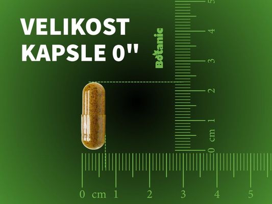 Botanic Vitamin C – Kyselina askorbová 60 kapslí