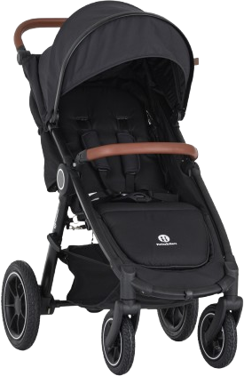 Petite&Mars Kočárek sportovní Street2 Air Oak Perfect Black