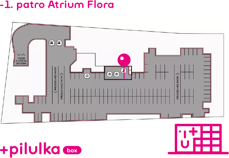 Pilulka_box_Atrium Flora.png