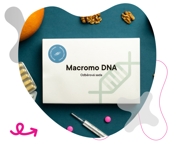 Macromo