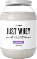 GymBeam Just Whey Borůvkový jogurt 1000 g