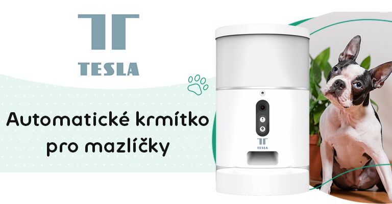automatické krmítko, domácí mazlíček, pes