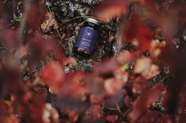 Naturlabs Kyselina hyaluronová + Vitamin C liposomální 30 kapslí