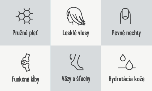 pohyb a sport