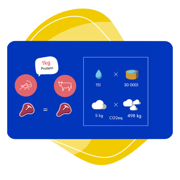 Sens pražení cvrčci 