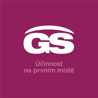 GS Vitamin C 500 mg s echinaceou 110 tablet