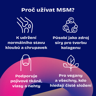 Daily MSM High Dose 180 kapslí
