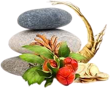 MycoMedica MycoBalance 90 kapslí