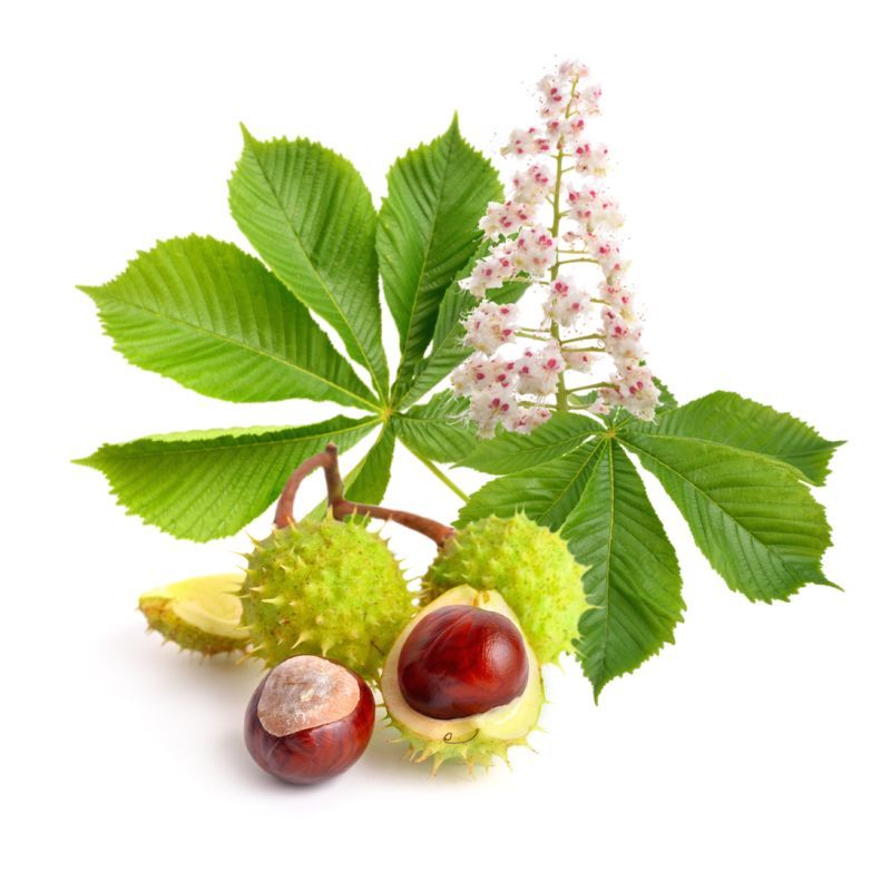 Flavonoidy