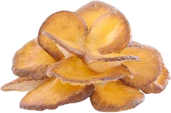 MycoMedica Maitake 90 kapslí