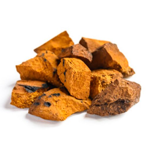 Organic Mushroom, Natures aid, zmes 5 liečivých húb, imunita, protinádorové účinky, Chaga (Inonotus obliguus)