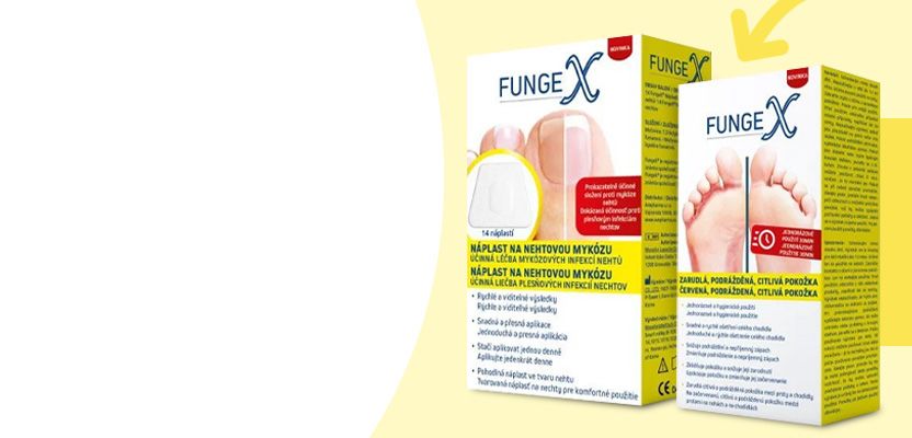 FungeX
