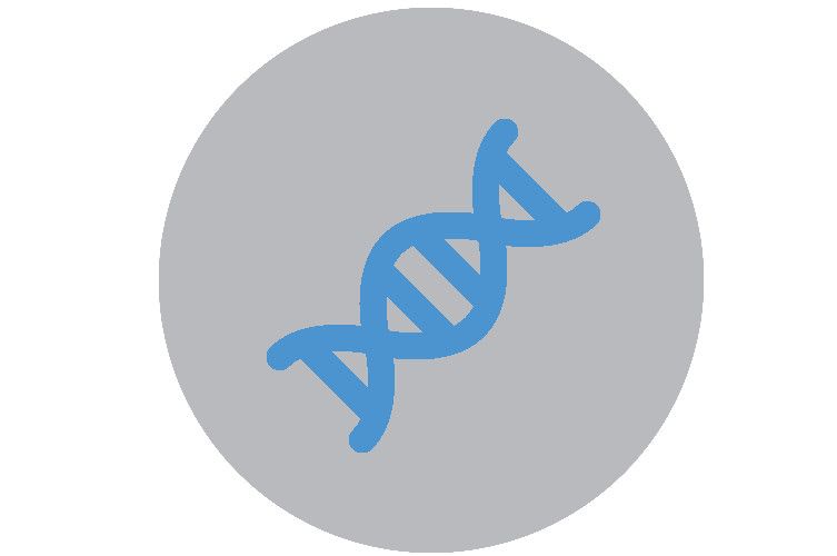 Normální syntéza DNA